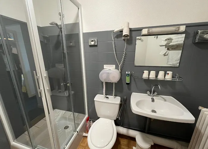 Hotel Logis Hotel & Restaurant De La Barque