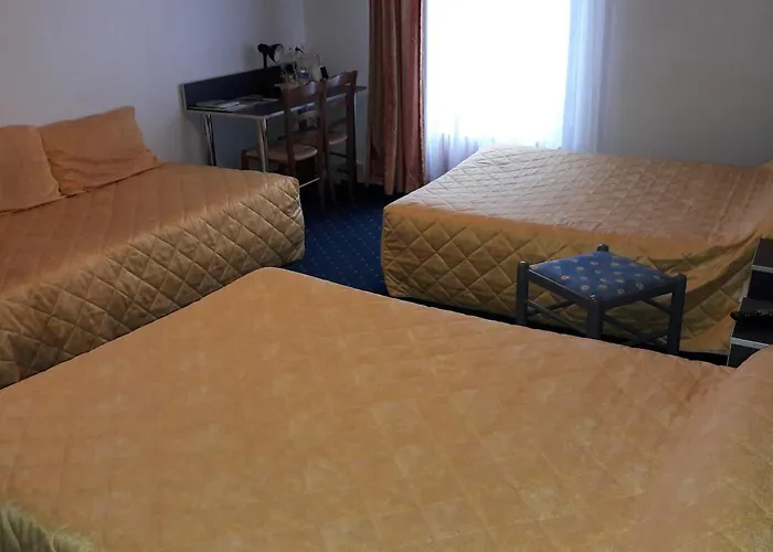 Logis Hotel & Restaurant De La Barque Hotel